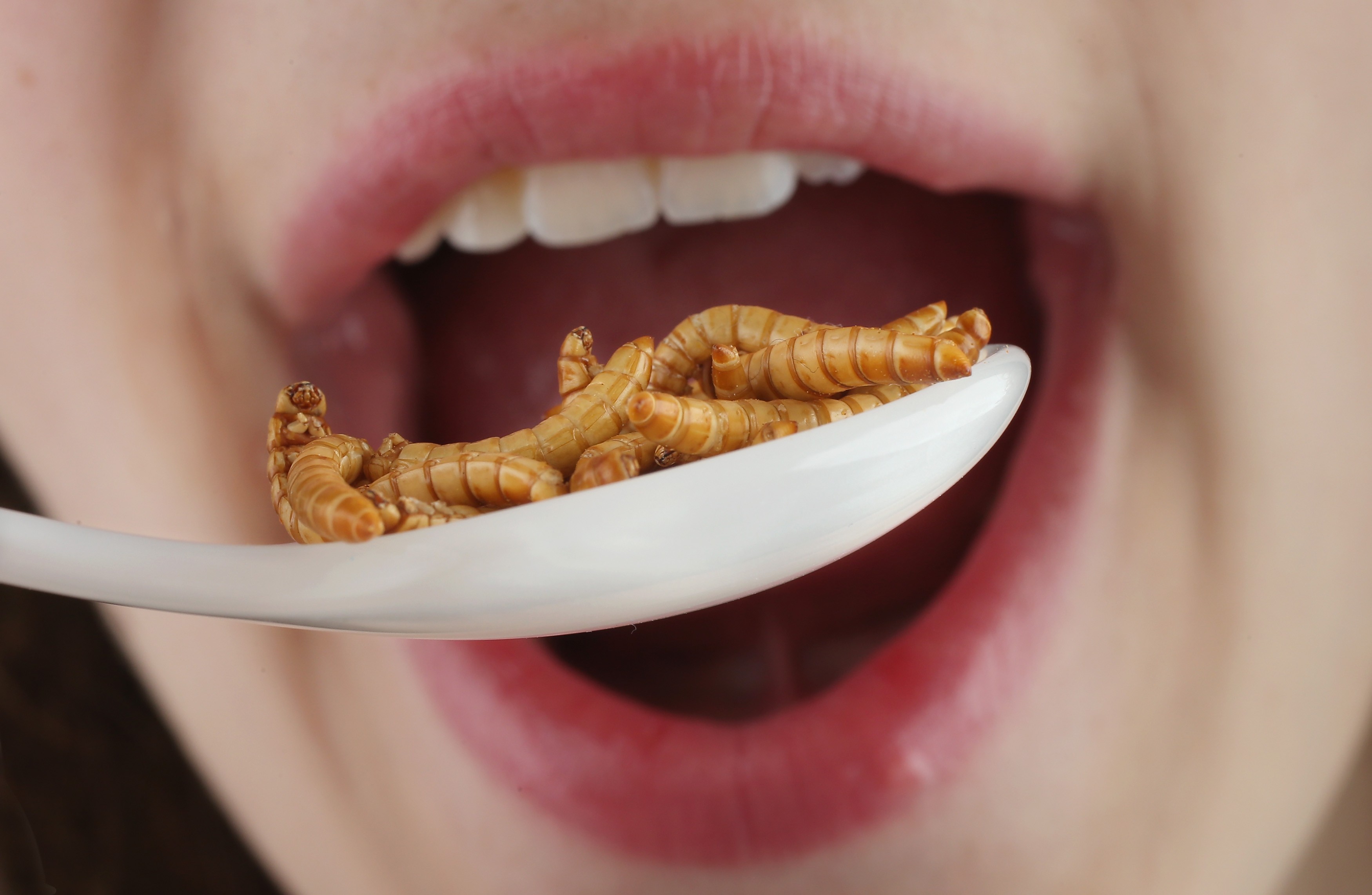 Summer dare: Eat a bug and floss your teeth with the legs