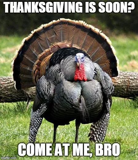 Meme challenge Nov. 22 | Community & Lifestyle | Lewiston | Inland 360 ...