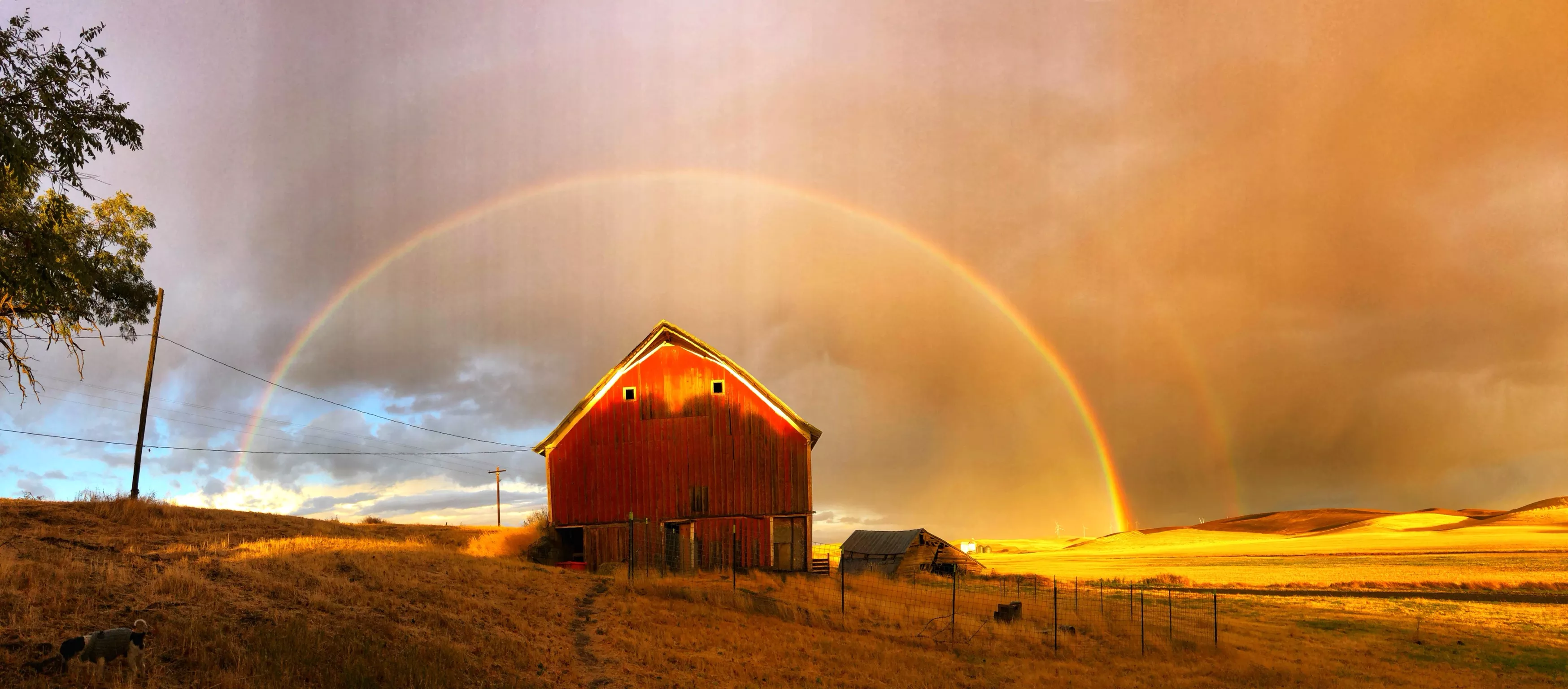 Barns of Whitman County 2021 calendar is out Art Lewiston Inland
