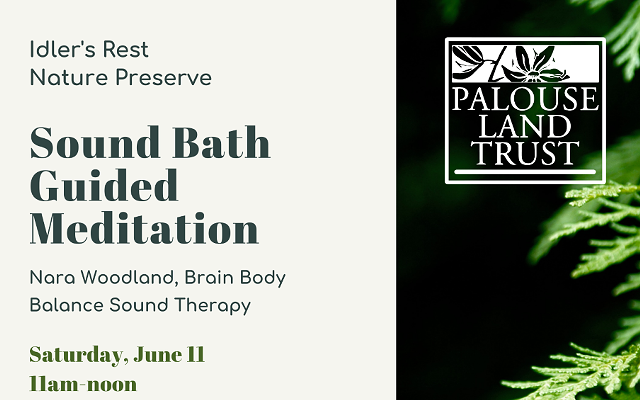 Sound Bath guided meditation