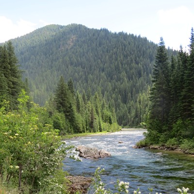 The Upper North Fork Clearwater River on July 2. Photo by Le Ann Wilson of Orofino taken from Black Canyon Road #250, a short distance north of Kelly Forks.