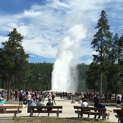 Old Faithful Geyser doing its scheduled amazing display.