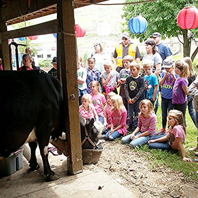 Mrs. Aeling, a teacher at Heights Elementary shows her 2nd-grade class how she milks Maggie Moo during the annual field trip to the Aeling farm. The children get to make butter, eat homemade ice cream and see all the animals. Photo by Dan Aeling 6-1-15.