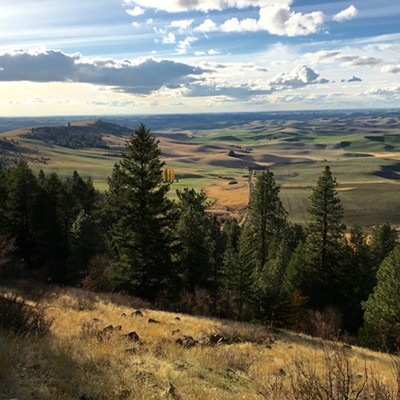 Looking north on the Palouse from a trail on Kamiak Butte. Photo by Steve Bergmann of Moscow, taken Oct. 28, 2016.