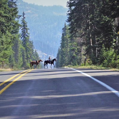 On a ride near Mt. Rainier I observed the horse crossing sign and right ahead was a horse and rider crossing. A unusual sighting for me to capture. Taken July 28, 2018 by Mary Hayward of Clarkston.