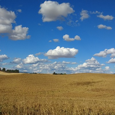 Late summer on the Palouse