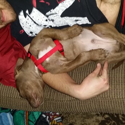 Me and my pitbull pup Apollo enjoying our relaxing time.