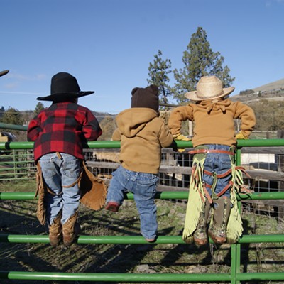 Taken on Saturday the 3rd of March while branding in Juliaetta, Idaho. Photo taken by Cindy Fliger of Juliaetta.
    Hank Lambert-Collins (5) Roper Collins (2) Cash Collins (3) sons of Kevin Collins, Kayla Collins and Erica Lambert. Helping friends brand, the boys love it.