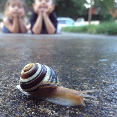 The kiddos released their pet snail, Gary.