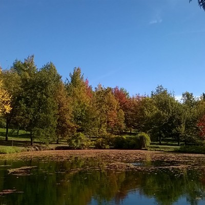 Taken by Jim Allen of Moscow while visiting the&nbsp;UI Arboretum.