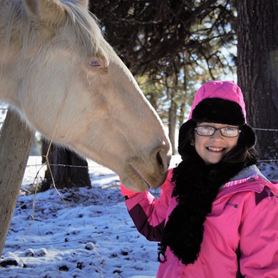 We took our Granddaughter Lindsay out to Field Springs to play in the snow and she loved petting this blue eyed horse. Taken December 21, 2017 by Mary Hayward of Clarkston.