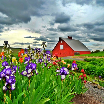 This photo of the red barn at the University of Idaho Arboretum & Botanical Garden was taken by Leif Hoffmann (Clarkston, WA) on June 7, 2020 during a Sunday afternoon stroll with family.