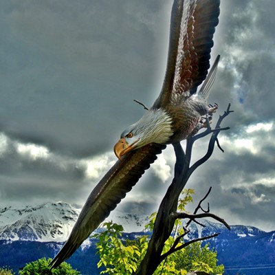 This photo of an eagle (sculpture) appearing to swoop down the Wallowa Mountains was taken in Joseph, Oregon on May 23, 2020 by Leif Hoffmann (Clarkston, WA) during an afternoon family drive.