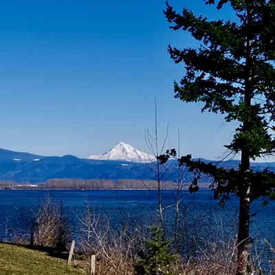 Mt Hood in all its glory. Photo taken by Sue Young on 3-10-19 while on vacation in Oregon.