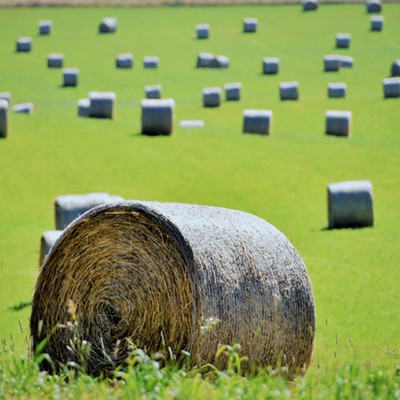 This field full of scattered hay bales was spotted near Field Springs. Taken August 10, 2020 by Mary Hayward of Clarkston.