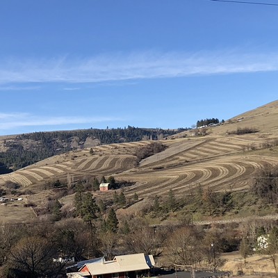 The cold crisp fields above Juliaetta create a design pattern reminding one of cordoroy. Photo taken by Karen Purtee on a sunny and cold December 23, 2020. The view is to the West from McGary Grade Road.