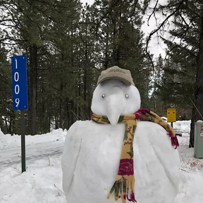 We couldn't BE snowbirds this winter, so we built a snowbird instead.