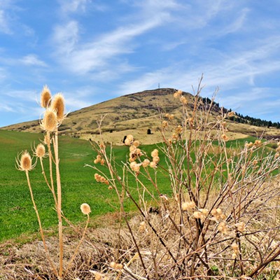 This photo of Steptoe Butte was taken on April 18, 2021 by Leif Hoffmann (Clarkston, WA) while visiting the state park for an afternoon family picnic.