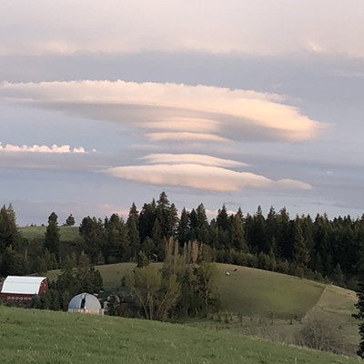 A relaxing scene closed out the month of April with interesting clouds sliding over a pasture with two long horned steers near Wallen Road, east of Moscow. Karen Purtee took this picture of her neighbors' pastures on April 30, 2021.
