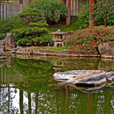 Koi pond in the Nishinomiya Tsutakawa Japanese Garden