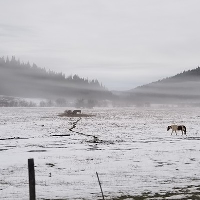 Wintry trip to Elk River when we spotted these horses outside of Deary. The fog was hanging low and frozen.