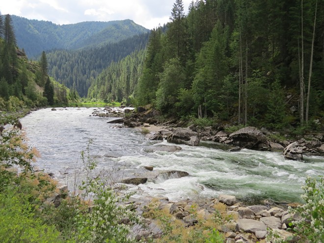 North Fork of the Clearwater River