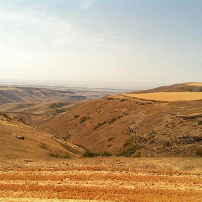 View from above Coyote Grade south of Genesee looking across the Clearwater River at the Lewiston Orchards and Cougar Ridge.