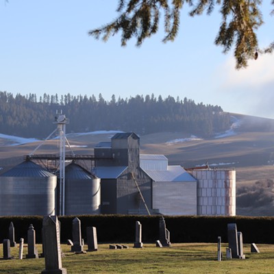 Picture taken of the grain elevators from the Viola Cemetery. Catching the rolling hills of the Palouse and the first indications of the fog rolling in for the evening.
    
    Taken January 13, 2019
    in Viola, ID
    by Gina Tingley