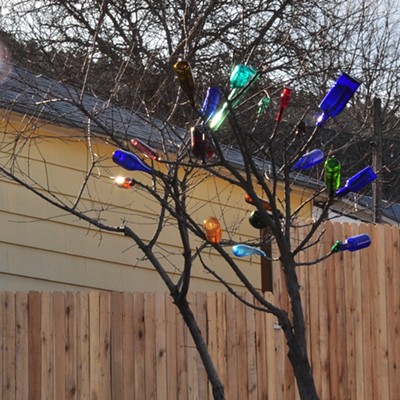 While passing through Julietta, I pasted this tree that was growing bottles. Had to drive around the block to get this photo to prove it. Quite different, only one I've ever seen.    3/3/21 by Jerry Cunnington.