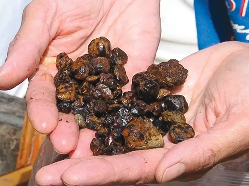 A handful of garnets - BRENT BIGGS
