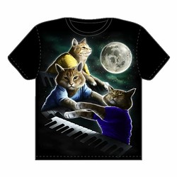 CAT FRIDAY: Tribute to the keyboard cat