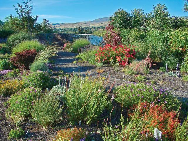 HEALTHY HOMES: How Green is My Yard?