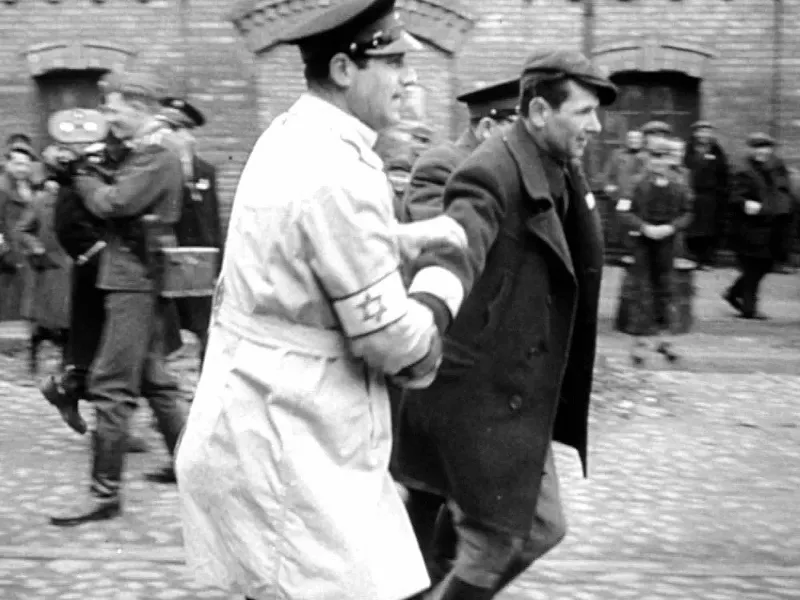 Cruelty staged. Then staged again.
