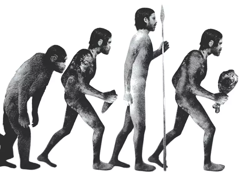 art16987.jpg