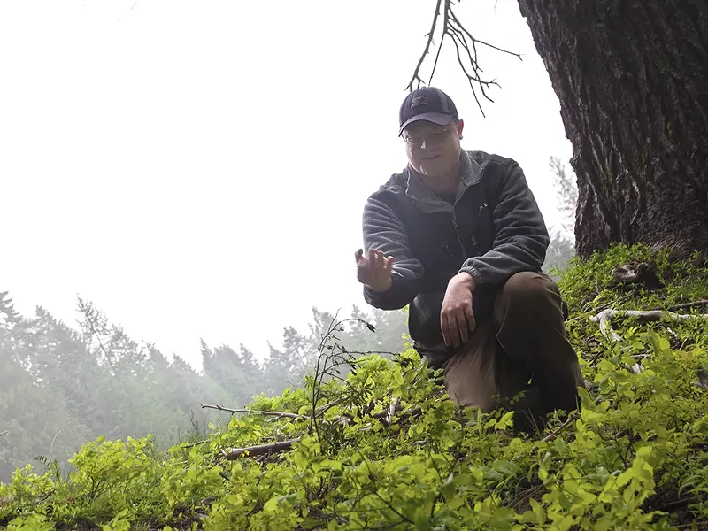 Josh Yake scours the wilds of the Inland Northwest for morel mushrooms. - JENNIFER DEBARROS