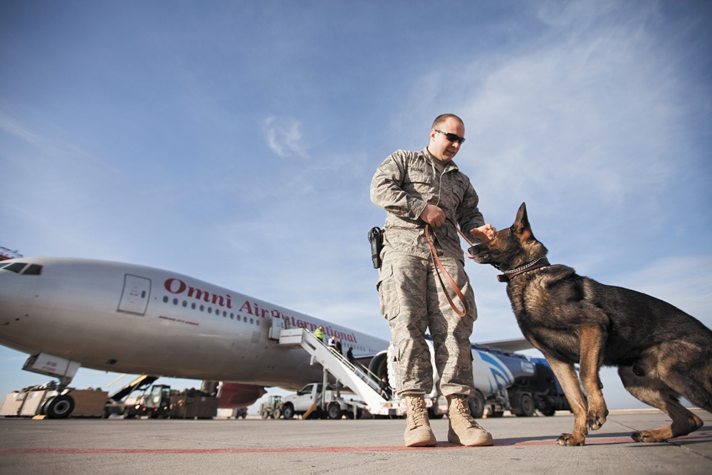 K9 Handler Senior Airman Zach Villano and his dog Spikey prepare to do a security sweep of a plane. - YOUNG KWAK