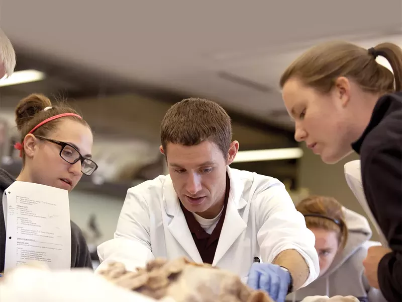 Lecturer Justin Ulbright examines the male cadaver in Whitworth's new cadaver lab. - MIKE MCCALL