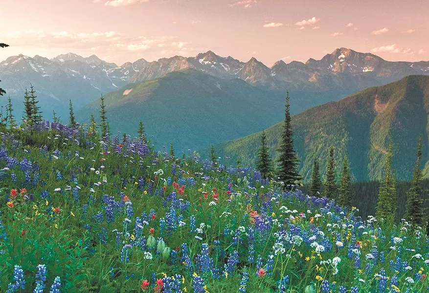 Meadows and mountains near Nelson, B.C. - DAVID GLUNS PHOTO