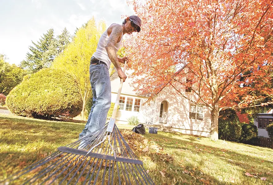 Mike Coe cleans his yard near Lincoln Park. - YOUNG KWAK