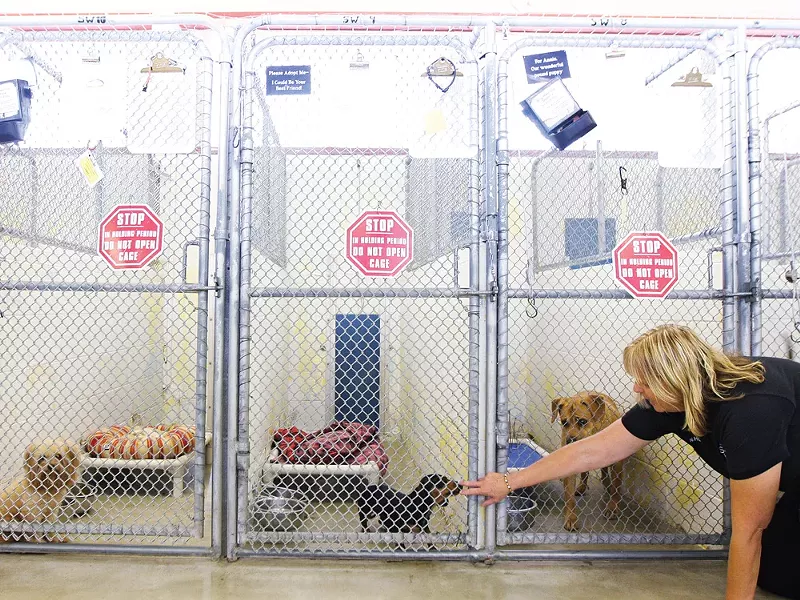 Nancy Hill at the SCRAPS facility - YOUNG KWAK