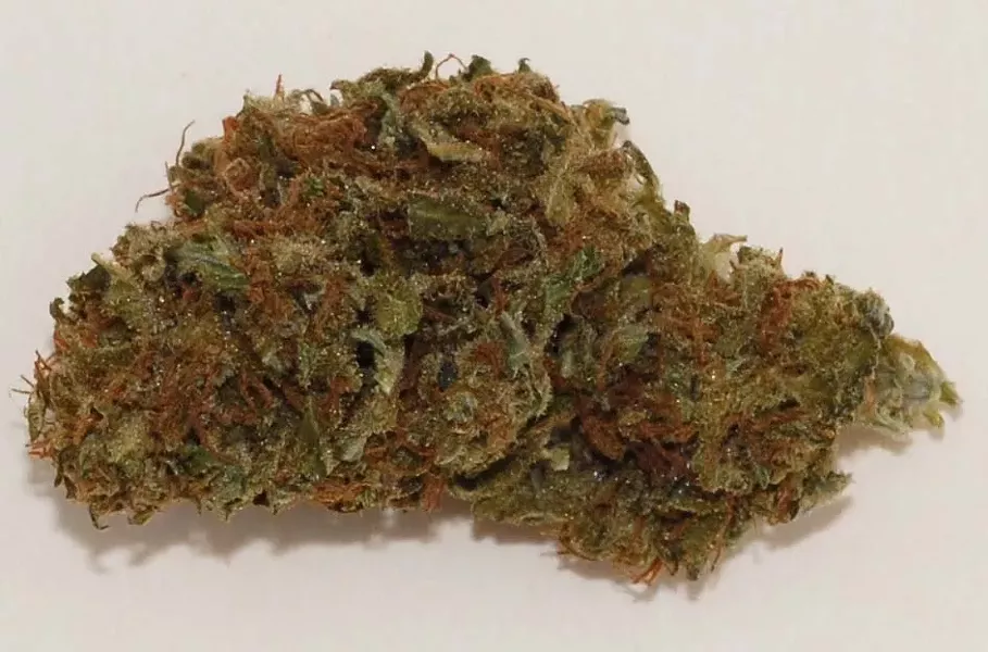 marijuana_cbd_strain.jpg