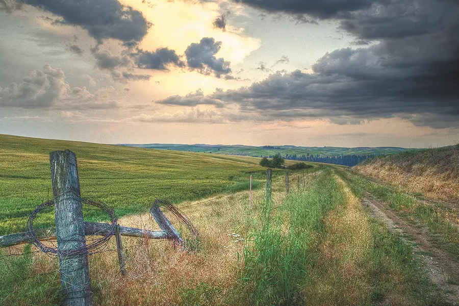 Pine City, Wash. - HEATHER BIGGS