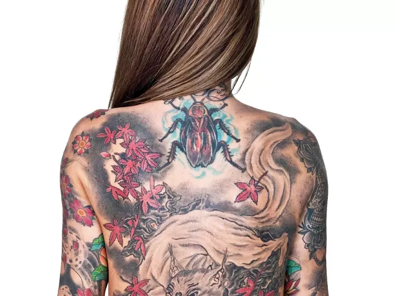 art16549.jpg