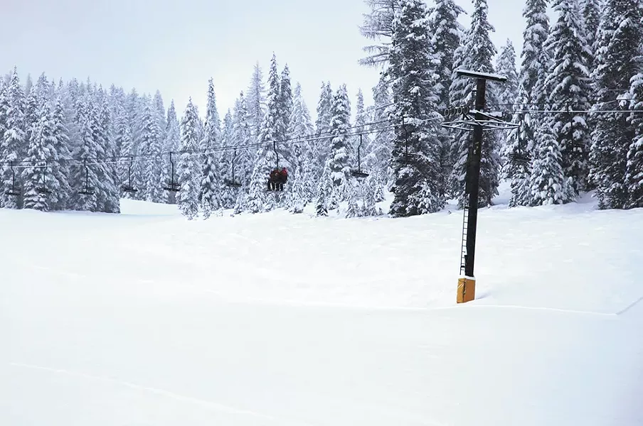 snowlander3-1.jpg