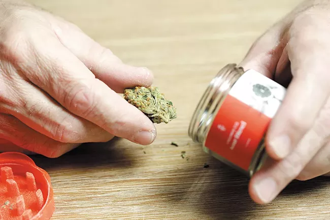 Sour Diesel is a long-time favorite of cannabis fans. - YOUNG KWAK