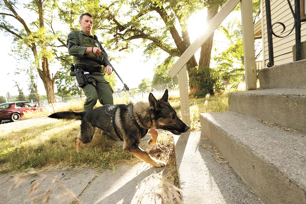 Police K9s, like the Spokane sheriff's Gunnar, are experts at finding suspects who don't want to be found