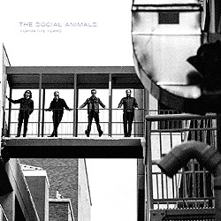 The Social Animals settle on a musical personality as its members spread across the country