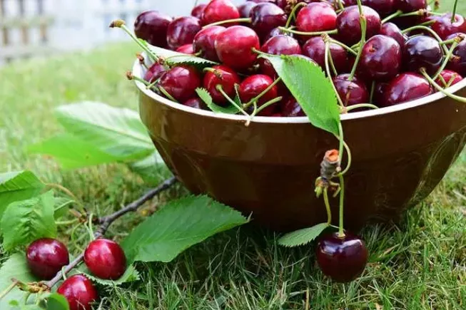 sweet cherries politics farm stands divides
