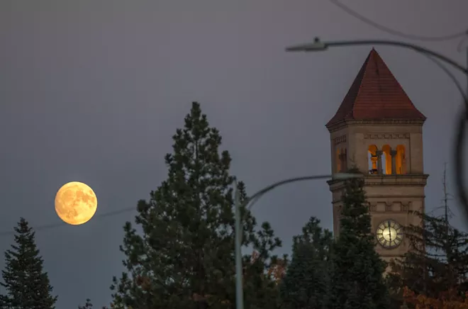 Get ready for the Super Blood Wolf Moon on Sunday, which may or may not resurrect all previously defeated enemies - DANIEL WALTERS PHOTO