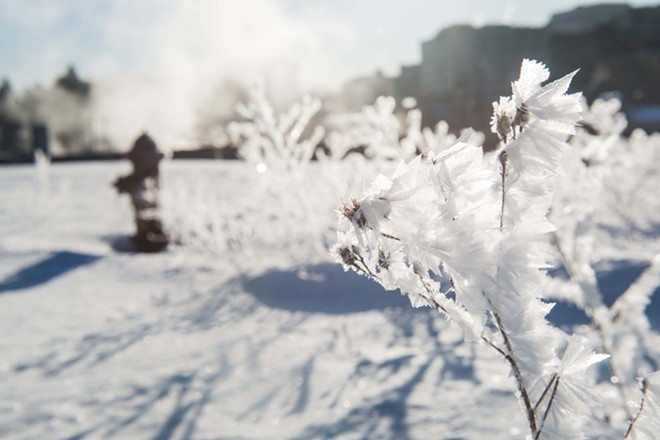 Frost blankets Spokane earlier this week. - DANIEL WALTERS PHOTO